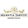 Selektia Italia